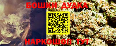 сатива Краснодар