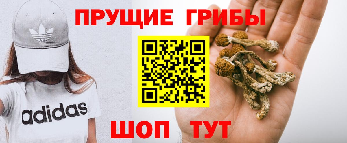 Галлюциногенные грибы прущие грибы Бирск