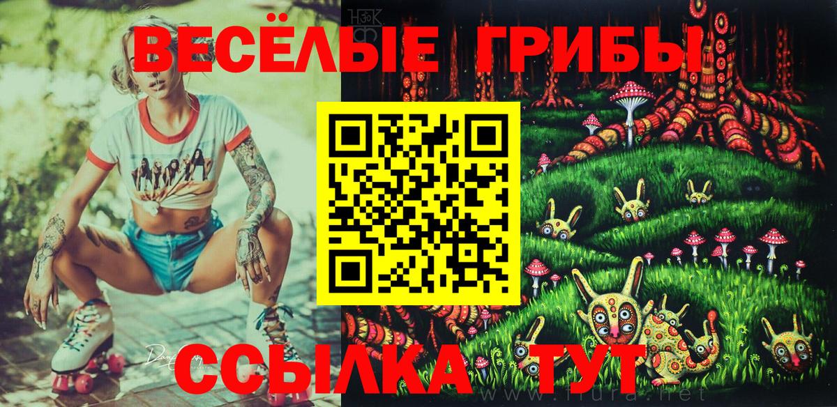 Галлюциногенные грибы GOLDEN TEACHER  Псилоцибиновые грибы мухоморы  где можно купить наркотик  Вход с VPN  Бирск 